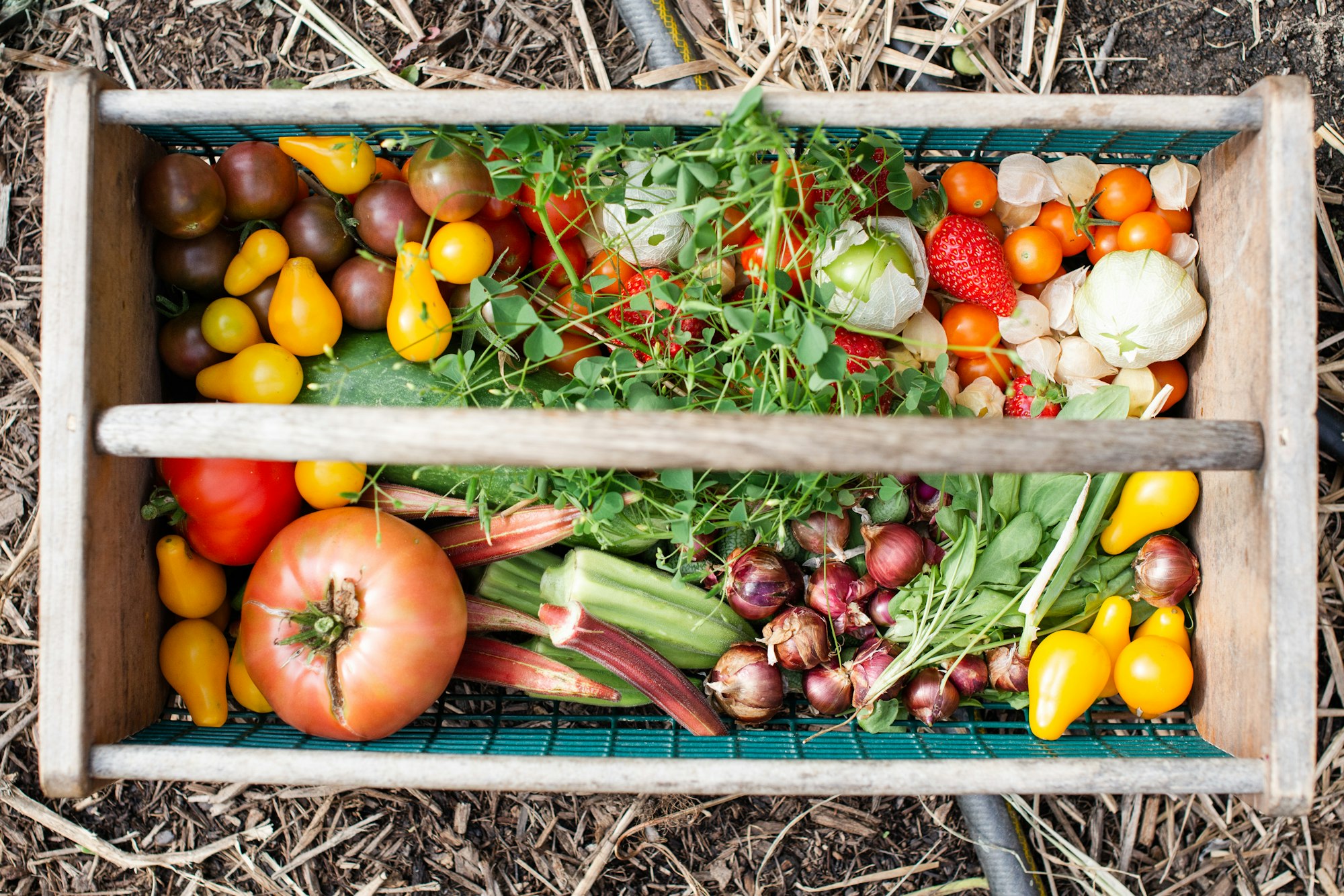 harvest crate