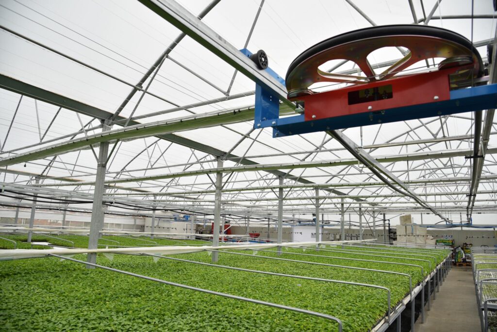 The nursery greenhouse with its irrigation system