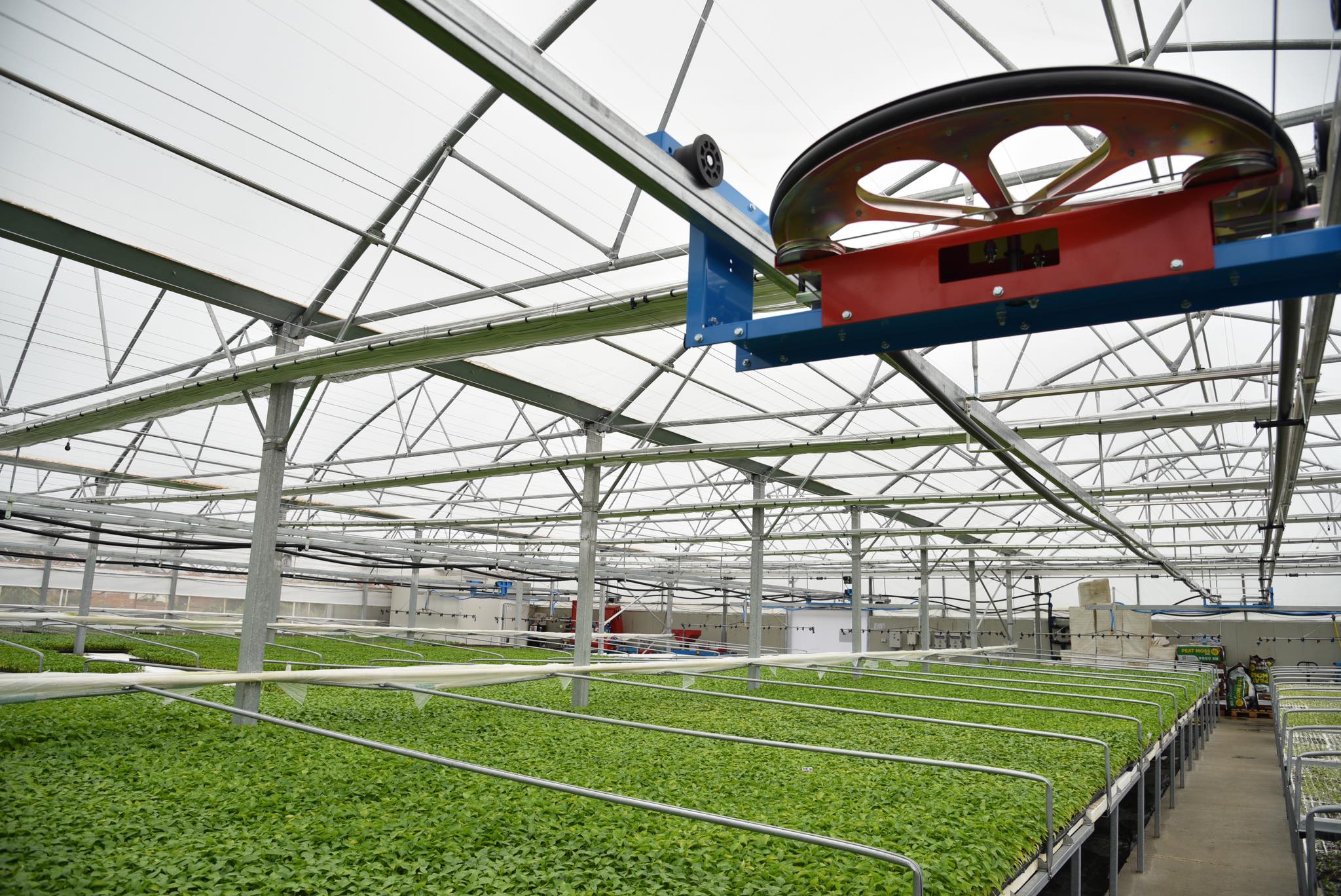 nursery greenhouse wide